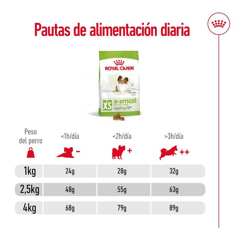 Royal Canin X-Small Ageing 12+ Adult pienso para perros, , large image number null